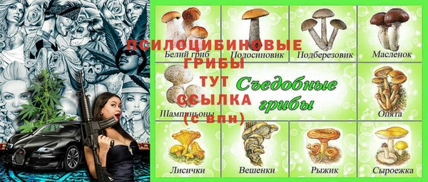 шишки Алзамай