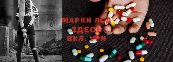 шишки Абинск