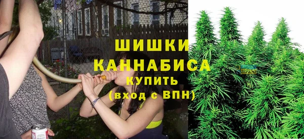 шишки Алзамай